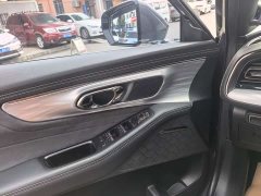GAC Aion GS8 Dual Engine 2.0T M Two-Wheel Drive Luxury Edition (6-Seater) - photo 7