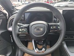 GAC Aion GS8 Dual Engine 2.0T M Two-Wheel Drive Luxury Edition (6-Seater) - photo 8