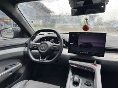 Zeekr 001 YOU Edition 100kWh AWD - ფოტო 14