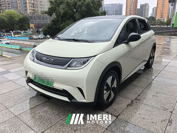 BYD Dolphin 420km Fashion Edition