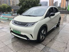 BYD Dolphin 420km Fashion Edition - ფოტო 1