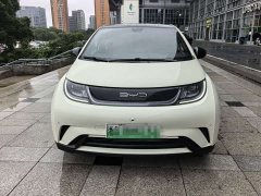 BYD Dolphin 420km Fashion Edition - ფოტო 2