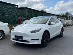 Tesla Model Y Facelift Long Range All-Wheel Drive - ფოტო 1