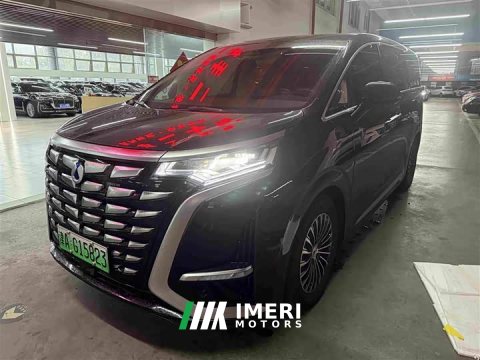 2024 Denza D9 DM-i 1050 Premium - ავტომობილი ჩინეთიდან