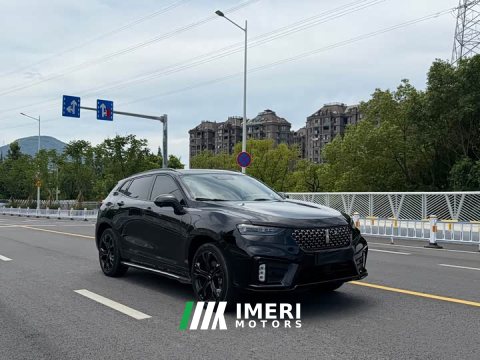 2021 Great Wall WEY VV7 2.0T Flagship - ავტომობილი ჩინეთიდან