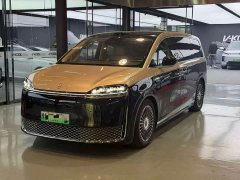 Luxeed Zhiji V9 Max - photo 1
