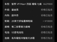 Luxeed Zhiji V9 Max - photo 14