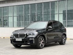 BMW X5 xDrive 40Li M Sport Package - фото 1