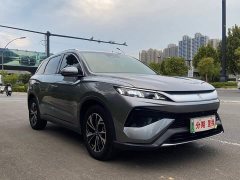BYD Song Pro New Energy 2nd Gen DM-i 115KM Exceed - ფოტო 3