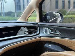 Denza D9 DM-i Two-Wheel Drive Flagship Edition - ფოტო 14