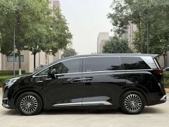 Denza D9 DM-i Two-Wheel Drive Flagship Edition - ფოტო 16