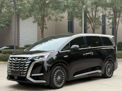 Denza D9 DM-i Two-Wheel Drive Flagship Edition - ფოტო 2