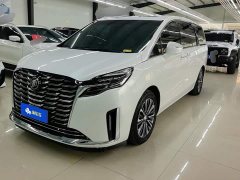 Buick GL8 ES Land Respect 653T Luxury - ფოტო 1