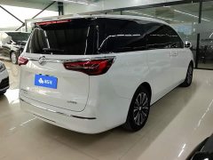 Buick GL8 ES Land Respect 653T Luxury - ფოტო 3