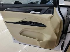 Buick GL8 ES Land Respect 653T Luxury - ფოტო 7