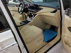 Buick GL8 ES Land Respect 653T Luxury - ფოტო 8