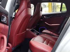 Porsche Panamera 2.9T - ფოტო 15