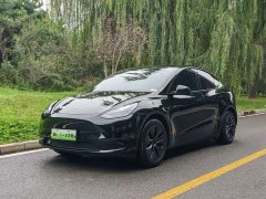 Tesla Model Y Rear-Wheel Drive - ფოტო 1