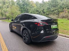 Tesla Model Y Rear-Wheel Drive - ფოტო 10