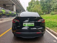 Tesla Model Y Rear-Wheel Drive - ფოტო 11