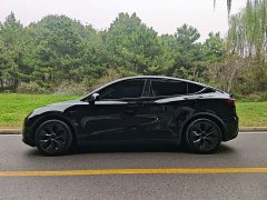 Tesla Model Y Rear-Wheel Drive - ფოტო 12