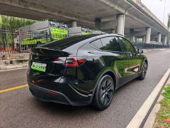 Tesla Model Y Rear-Wheel Drive - ფოტო 13