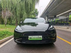 Tesla Model Y Rear-Wheel Drive - ფოტო 2