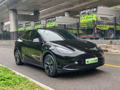 Tesla Model Y Rear-Wheel Drive - ფოტო 3