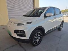 Dayun 330 Edition - ფოტო 1
