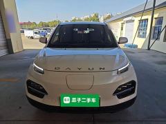 Dayun 330 Edition - ფოტო 2