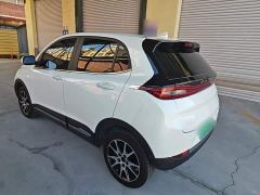Dayun 330 Edition - ფოტო 4