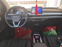 Dayun 330 Edition - ფოტო 9