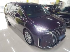 Buick GL8 Avenir Six-Seater Wisdom Courtesy Edition - фото 3