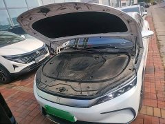 BYD Han EV Champion Edition 605KM FWD Luxury - photo 19