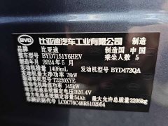BYD Seal Glory Edition DM-i 1.5L 121km Luxury - фото 17