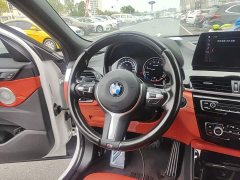 BMW X2 sDrive25i M Sport Leading Edition - ფოტო 10