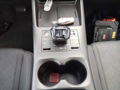 BYD Qin PLUS EV Smart Drive 420KM Leading Edition - фото 13