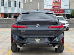 BMW X4 xDrive 30i M Sport Package - фото 6