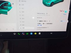 Tesla Model 3 Standard Range RWD Upgrade - ფოტო 11