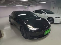 Tesla Model 3 Standard Range RWD Upgrade - ფოტო 3