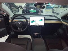Tesla Model 3 Standard Range RWD Upgrade - ფოტო 9