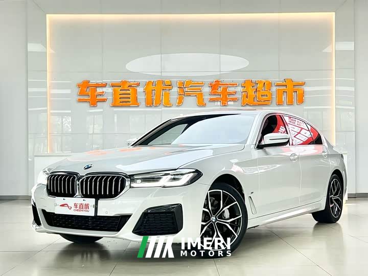 BMW 5 Series 530Li Luxury M Sport Package - автомобиль из Китая