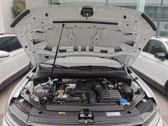 Volkswagen Tiguan L Outstanding Edition 300TSI Automatic Two-Wheel Drive Dragon Ascendant Version - photo 19