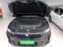 Voyah FREE Extended Range Intelligent Driving Edition - ფოტო 19
