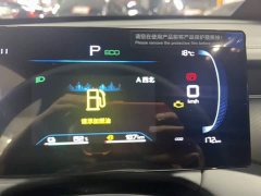 BYD Qin PLUS DM-i Smart Drive Edition 55KM Leading - photo 4