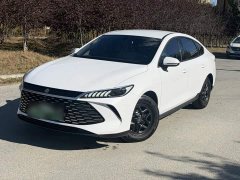 BYD Qin PLUS DM-i Smart Drive Edition 55KM Leading - photo 6