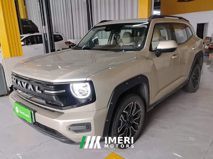Haval Big Dog PLUS New Energy Hi4 150km Trendy EV Edition - ავტომობილი ჩინეთიდან