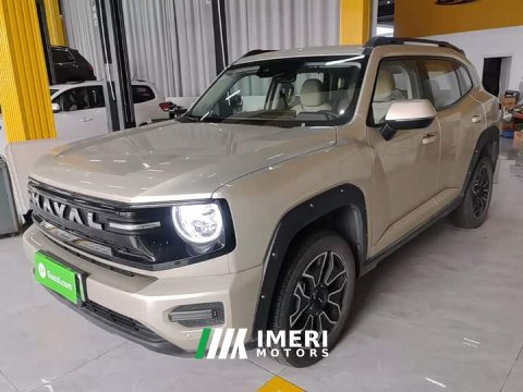 2025 Haval Big Dog PLUS New Energy Hi4 150km Trendy EV Edition - ავტომობილი ჩინეთიდან