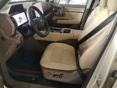Haval Big Dog PLUS New Energy Hi4 150km Trendy EV Edition - ფოტო 14