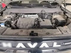 Haval Big Dog PLUS New Energy Hi4 150km Trendy EV Edition - ფოტო 19